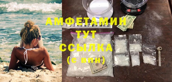 сатива Рославль
