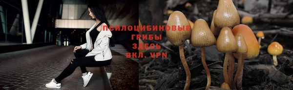 прущая мука Сатка