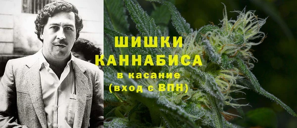сатива Рославль