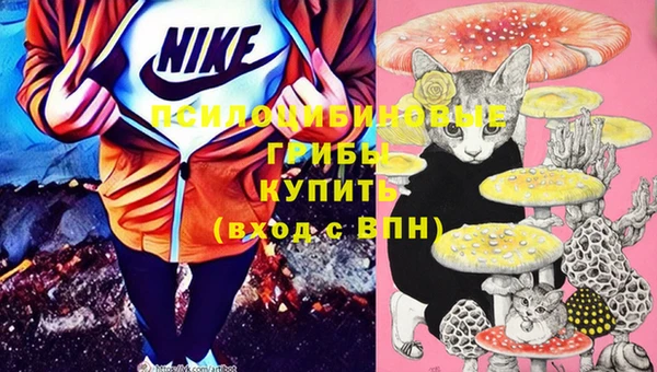 бутират Сафоново