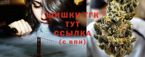 сатива Рославль