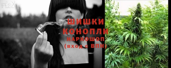 дмт Ростов