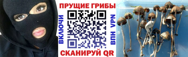даркнет сайт  Кострома  Псилоцибиновые грибы прущие грибы 