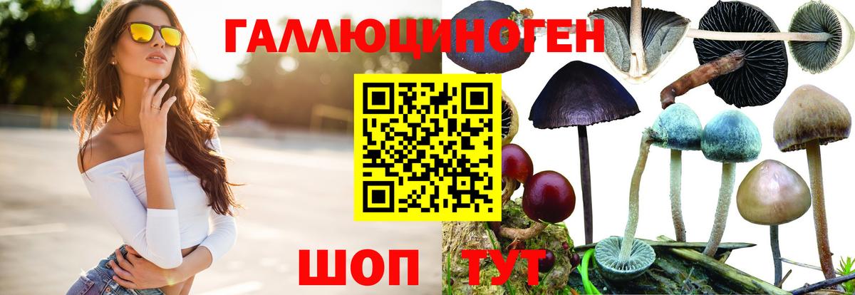 Галлюциногенные грибы мицелий  Псилоцибиновые грибы GOLDEN TEACHER  Кострома  Вход с VPN 
