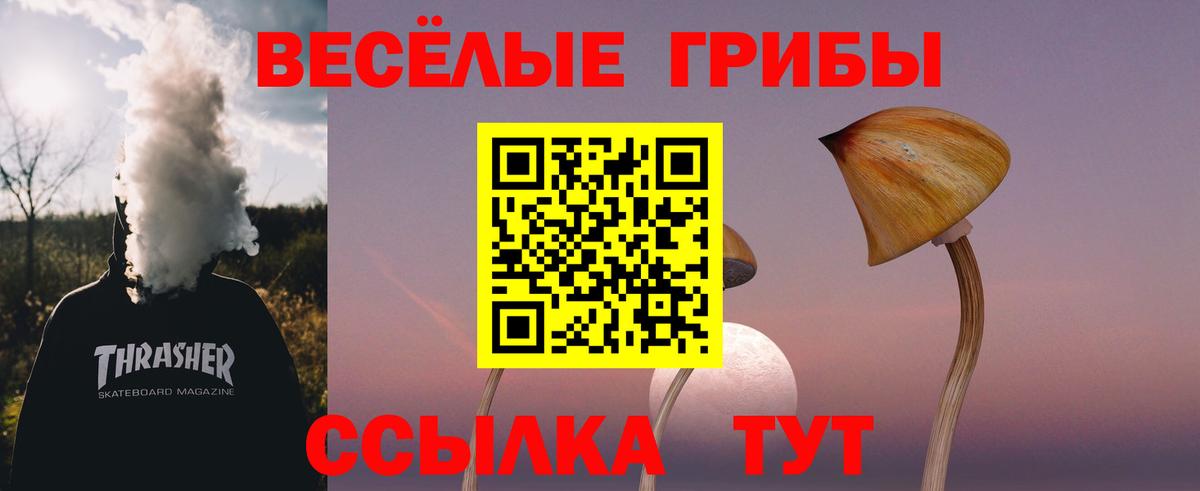 Галлюциногенные грибы Psilocybine cubensis Кострома